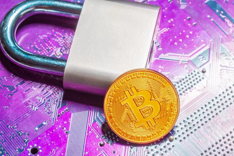 Top 10 Crypto Sportsbooks
